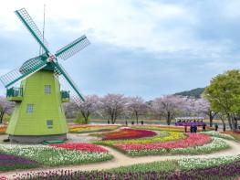 순천만국가정원, 튤립 절정 속 ‘튤립 왔나 봄’ 개최 기사 이미지