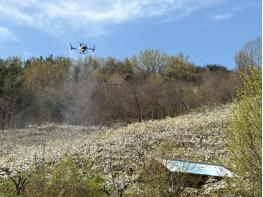 산청군, 드론 활용 배 인공수분 실증시험 실시...8개 농가 12.6㏊ 규모 기사 이미지