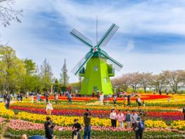 순천만국가정원, 주말 10만 관람객 방문… 봄 명소로 ‘지역경제 활력’ 기사 이미지