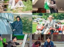 [SBS 오늘도 매진했습니다] 안효섭, ＂경운기 운전 재밌어, 내 차라고 생각하고 임했다＂ 좌충우돌 전원일기 공개! 기사 이미지