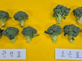 제주도 농기원, ‘위기를 기회로’ 과학 기반 표준시비 실천 캠페인 전개 기사 이미지