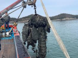 ‘고흥의 바다, 다시 숨 쉬다’ 고흥군, 50억 규모 청정어장 재생사업 선정 기사 이미지