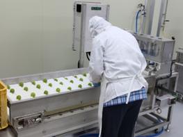 순천시, 매실 가공·저장시설 운영으로 농가 지원 확대 기사 이미지