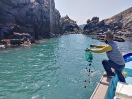 신안군, ‘바다에 미래를 심다’ 수산종자 방류 본격 시작 기사 이미지