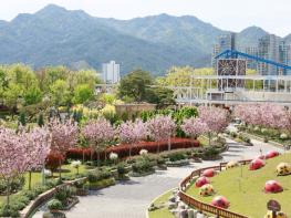 곡성군, 섬진강기차마을 겹벚꽃 만개 ‘절정’ 기사 이미지