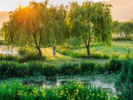 경남도, 어디 갈지 고민 끝! 가정의 달엔 경남으로 오세요 기사 이미지