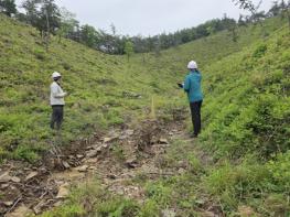 고흥군, 집중호우 대비 목재 수확지 사전점검 강화 기사 이미지