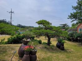 신안군, 개인정원 200여 개소 등록... 상하수도 요금 감면 혜택 ‘큰 호응’ 기사 이미지