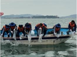 전남도, 함평 해역에 어린 대하 100만 마리 방류 기사 이미지