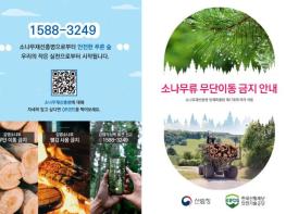 통영시, 소나무류 무단이동 근절로 소나무재선충병 확산 막는다 기사 이미지