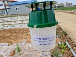 고성군, 열대거세미나방 선제 대응 강화 기사 이미지