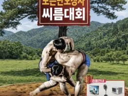 국내 최대 민속씨름 축제, 보은서 열린다 기사 이미지