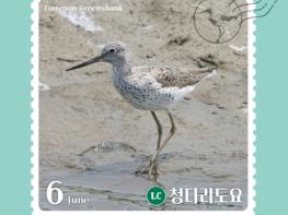 고창군, 6월 ‘고창갯벌 이달의 새’로 ‘청다리도요’ 선정 기사 이미지