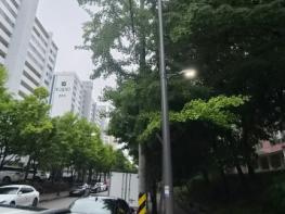 광주광역시 서구, 가로등 교체로 야간 보행안전 높였다 기사 이미지