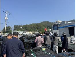 청정 바다 완도산 건다시마, 첫 위판 26톤 거래 기사 이미지
