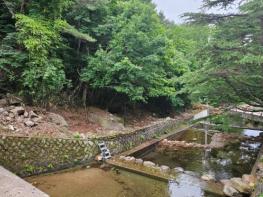 전남도, 산림계곡 불법시설 정비 속도 기사 이미지