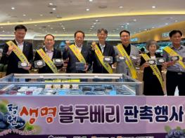 청주시, ‘청원생명 블루베리’ 특별 할인 판매 행사 기사 이미지