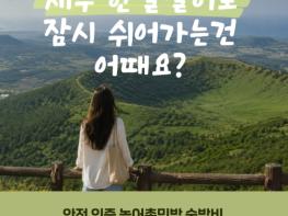 50팀 모집에 178팀 몰렸다…제주 안전 인증 농어촌민박 한 달 살기 흥행 기사 이미지
