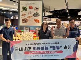 충북농업기술원 개발 '통통' 마늘, 현대백화점 판매 확대 기사 이미지