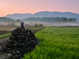 충북도, 무형유산 보유자 인정·신규 종목 지정 예고 기사 이미지