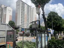 동구, 태풍 오기 전 위험 가로수 미리 손본다 기사 이미지