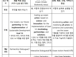 해양수산부, 2028년 유엔해양총회 개최도시로 부산광역시 선정 기사 이미지