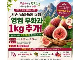 영암군, 무화과하면 영암, 고향사랑기부도 영암 이벤트 진행 기사 이미지