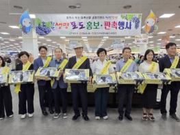 청원생명포도 본격 출하… 청주시, 홍보·판촉 행사 기사 이미지