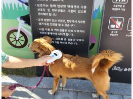 순천시, 10월 말까지 ‘동물등록 자진신고 기간’ 운영 기사 이미지
