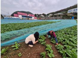 여수시, 선도농가와 함께 배우는 ‘신규농업인 현장실습교육’ 마무리 기사 이미지