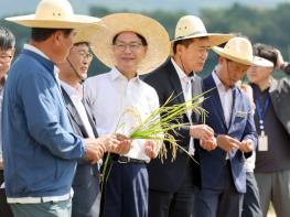 고창군, 2026년 벼농사 종합평가회 개최 기사 이미지