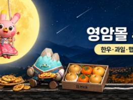 영암몰 추석 기획전 8억5천만원 매출 올려 기사 이미지