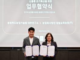 충북농기원 육성 대추 신품종, 시장 보급 ‘청신호’ 기사 이미지