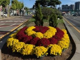 목포시, 직영 육묘장서 꽃묘 직접 생산…예산 절감·도심 경관 개선 기사 이미지