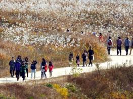 충주시, ‘비내섬 습지탐방지원센터 건립사업’ 공모 최종 선정 기사 이미지