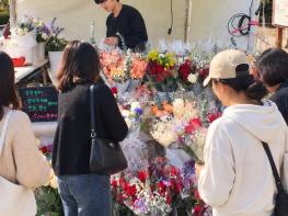 갈대축제 즐기고, 강진 장미는 반값에 기사 이미지