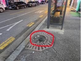 광주 북구 가로수 관리, 조례상 의무에도 불구하고 ‘방치’ 기사 이미지