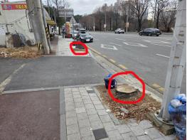 광주 북구 양산저수지 건너편, 가로수 무단 훼손 의혹 기사 이미지