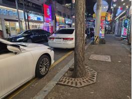 광주 북구청, 가로수 관리 논란 “답변은 철거, 현실은 방치" 기사 이미지