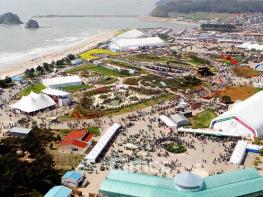 태백·태안 축제 용역, 심사·계약 과정 놓고 논란 기사 이미지